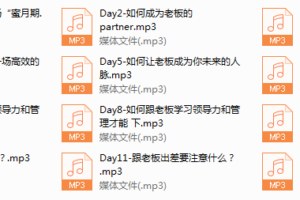 13-Chic升级思维的向上管理必修课。