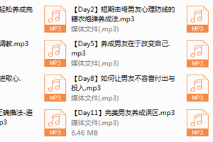 16-chic原醉-你的王子你做主