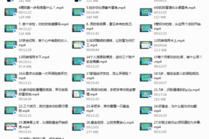 Part16靠自己变成富婆