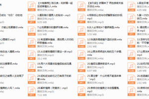 8.绛妖精《女神脱单实用攻略》