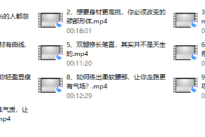 30、 环球太太仪态导师：10节课提升气质，让你的魅力比别人更高级（完结）