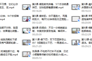 43、13堂日式小颜术，轻松瘦出自然明星小v脸