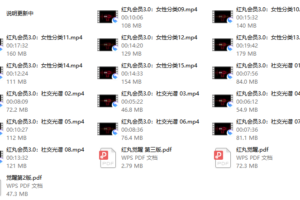 红丸会员3.0Plus（更新中）