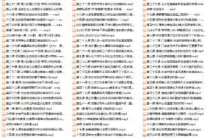 摸鱼情感《星星私教》