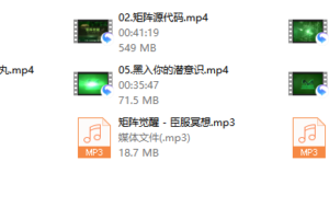 真爱之门《矩阵觉醒》