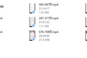 成真恋爱学·挽回她