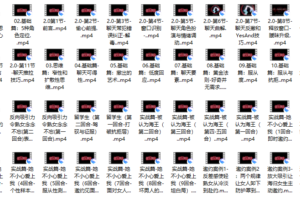 搭讪大师 良叔《偷心聊法Plus》