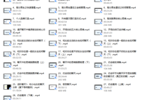 重开计划（大橙2.0）