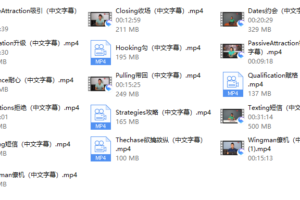 瑞恩《高分洋妞》