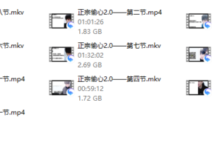 正宗偷心神聊2.0