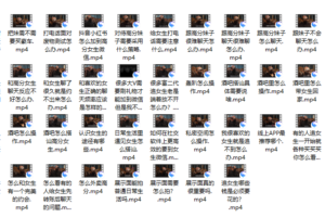 绅士派《熊猫内部课》