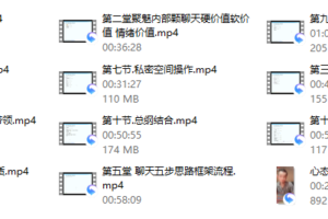 聚魅情感女神倒追的秘密第一期内部课程