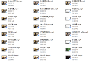 托德 – 《吸引力解锁》