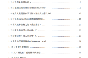 《阿尔法之路》