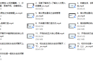 高大橙《重开计划2.0》