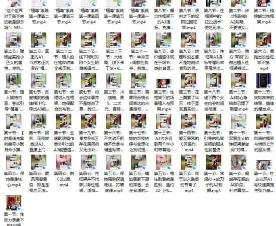 黑猫门徒教学展示课程