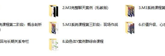 染色体 黑猫《终身制M3系统私教内部课程》