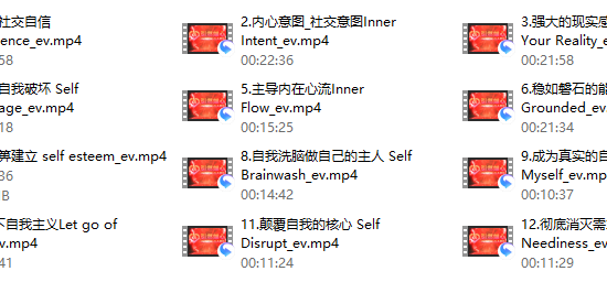 瑞恩《引燃雄心》