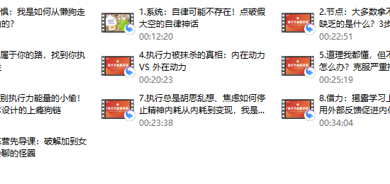 社交光谱莱特Light《执行力能量系统》无尽的执行和自律能量