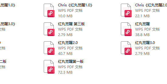 红丸觉醒1.0-3.0电子版