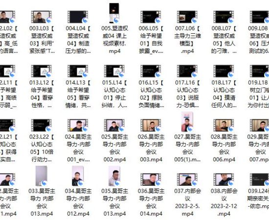昊哥《主导力训练营》
