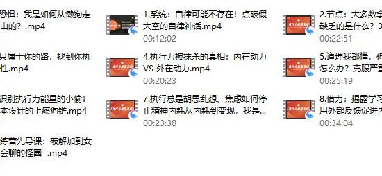 莱特《执行力能量系统》无尽的执行和自律能量