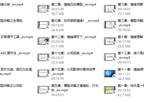 赵了了《情绪及压力管理》