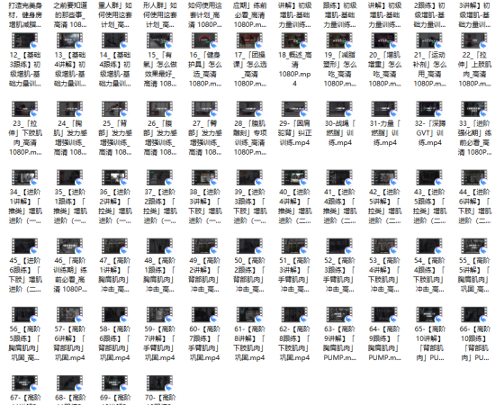 埃里克：打造完美身材，健身房增肌减脂全方案 完结版本