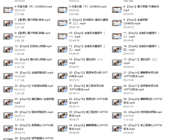 猛男埃里克28天增肌减脂，居家打造黄金比例身材