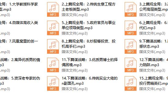 成功男人的A.B面15节