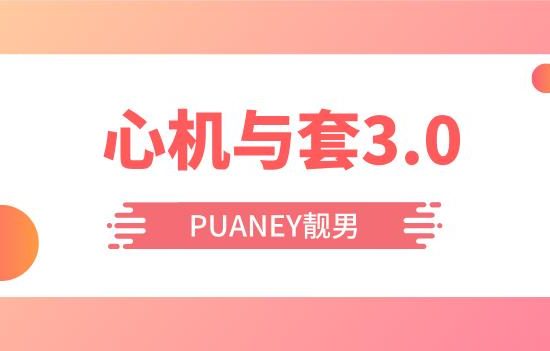 [4.9GB]PUANEY靓男《心机与套路3.0》网盘下载【010205】