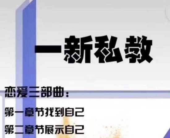 男哥高端私教课《一新私教》价值过万课程【110705】