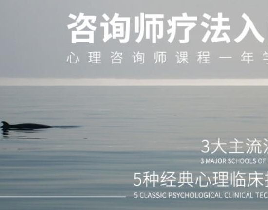 [26.8GB]【壹心理】心理咨询技术与疗法入门（完结）