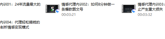 社交光谱-院长《情感代理内训计划》