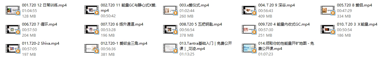 16081603320
