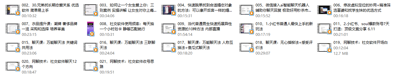 09062431133-1
