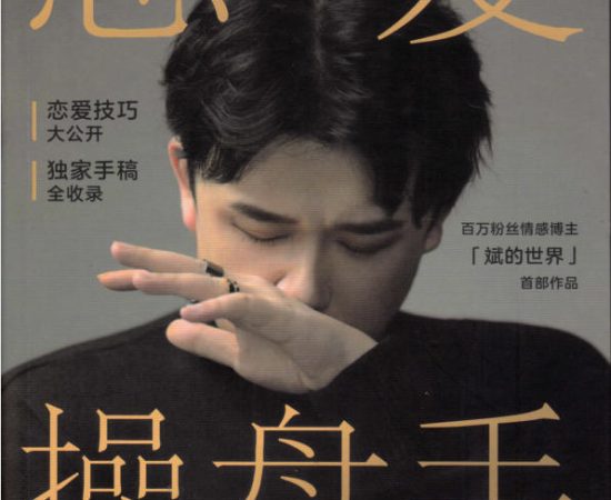 斌的世界《恋爱操盘手》PDF