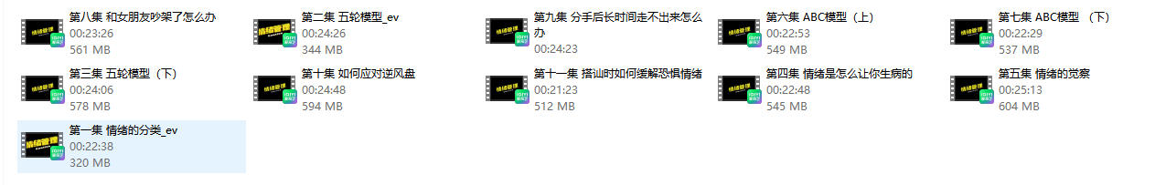 23105547691