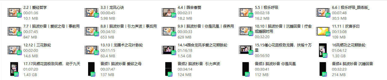30013017251 30013017251